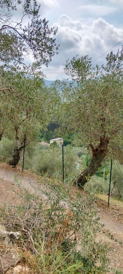 casale in vendita a Calci