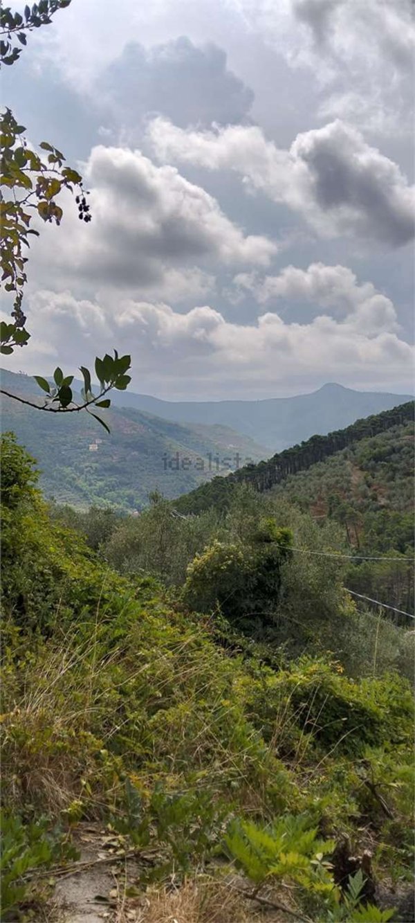 casale in vendita a Calci