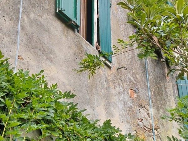 casa indipendente in vendita a Calci