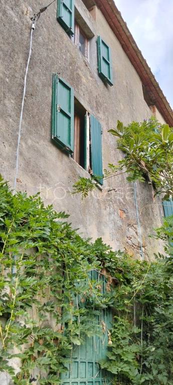 casa indipendente in vendita a Calci