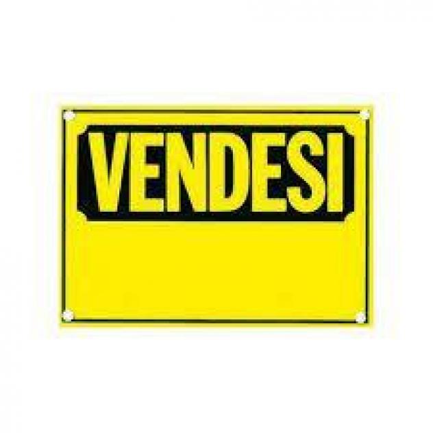 negozio in vendita a Calci