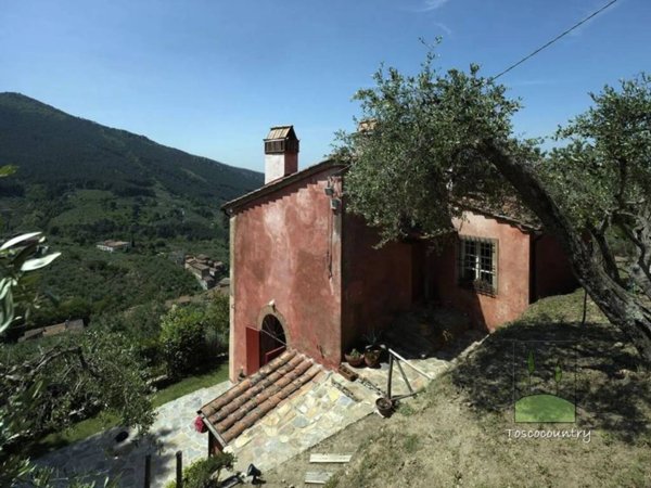 casa indipendente in vendita a Calci in zona Montemagno