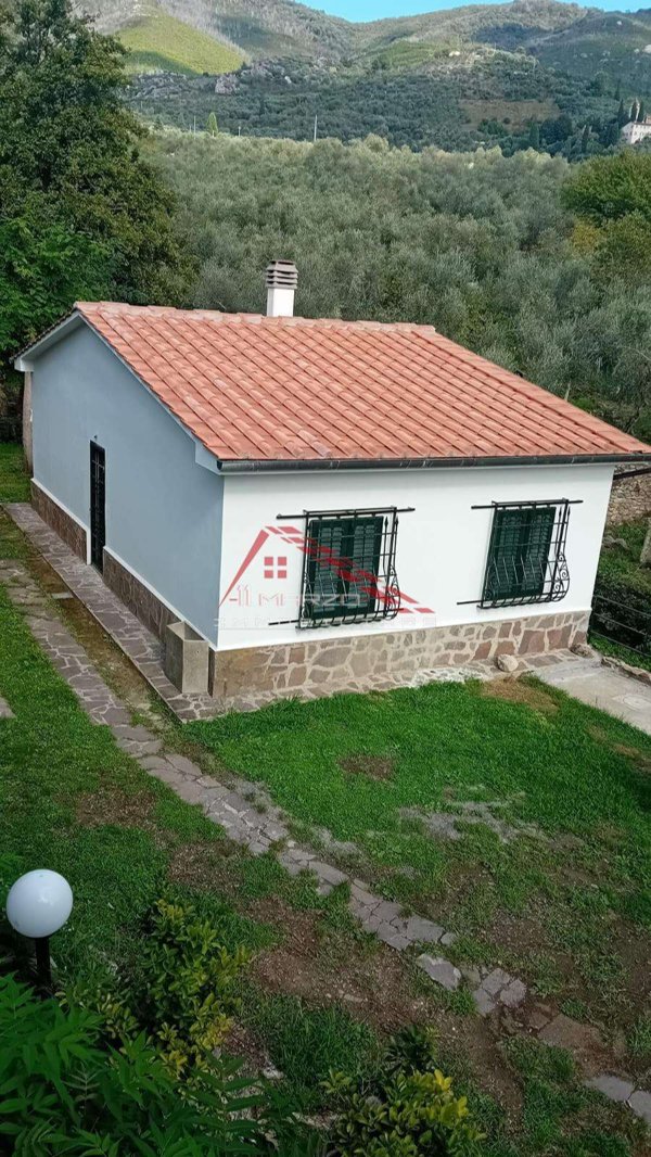 casa indipendente in vendita a Calci