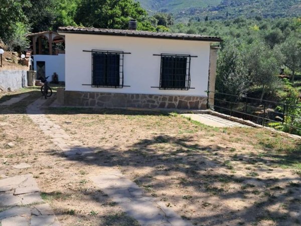 casa indipendente in vendita a Calci in zona Villa