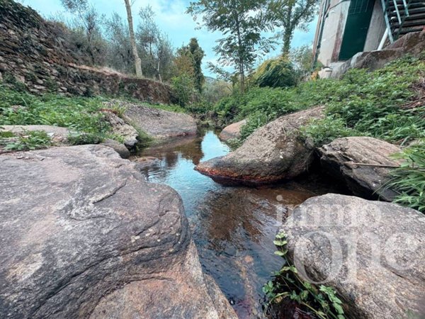 casa indipendente in vendita a Calci in zona Montemagno