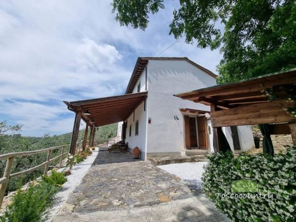 casa indipendente in vendita a Calci