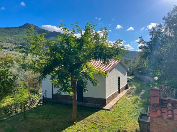 casa indipendente in vendita a Calci in zona Villa