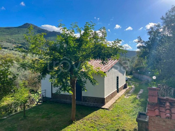 casa indipendente in vendita a Calci in zona Villa