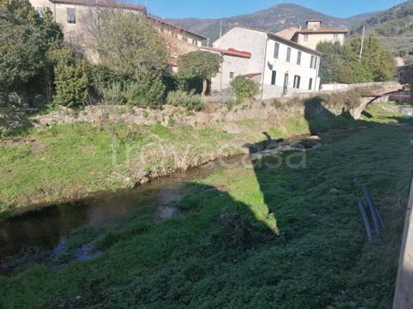 negozio in vendita a Calci