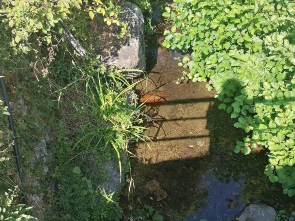 casa indipendente in vendita a Calci in zona Villa