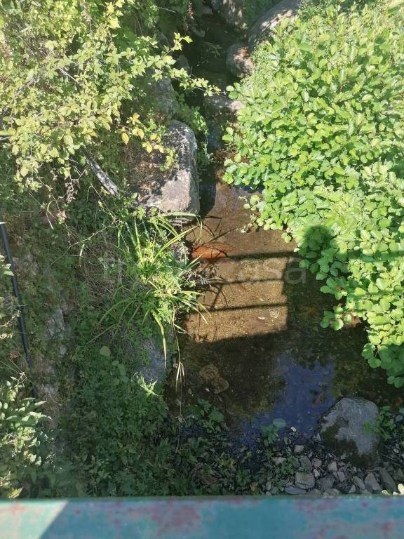 casa indipendente in vendita a Calci in zona Villa