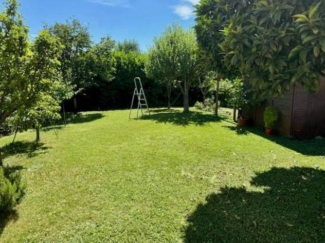 casa indipendente in vendita a Calci in zona Villa