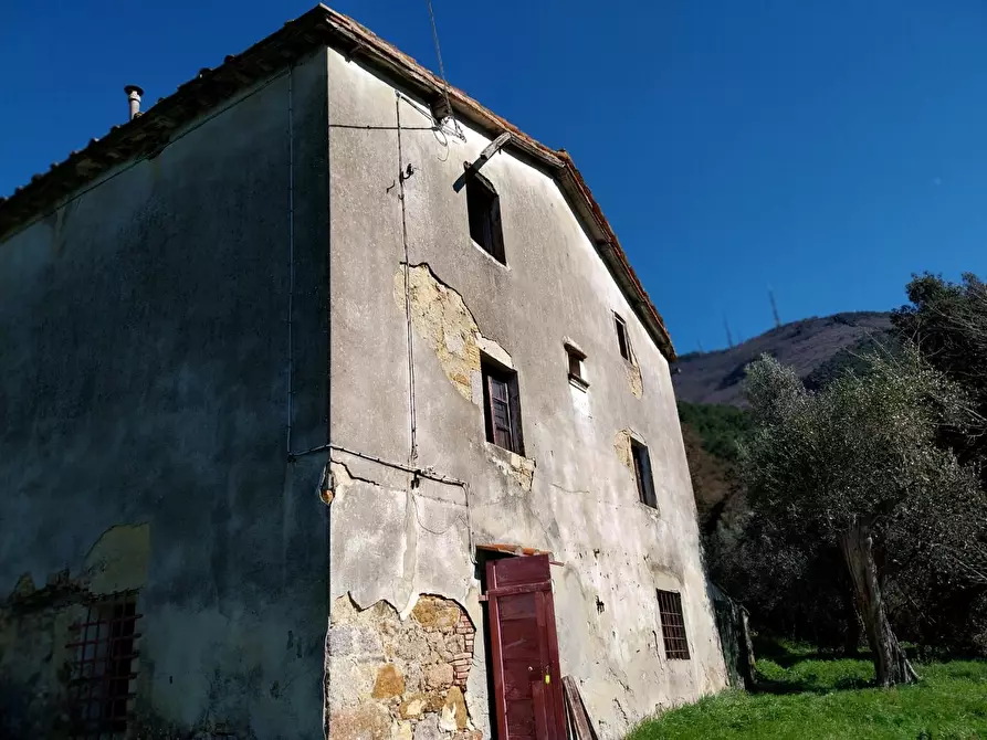 casa indipendente in vendita a Calci in zona Tre Colli