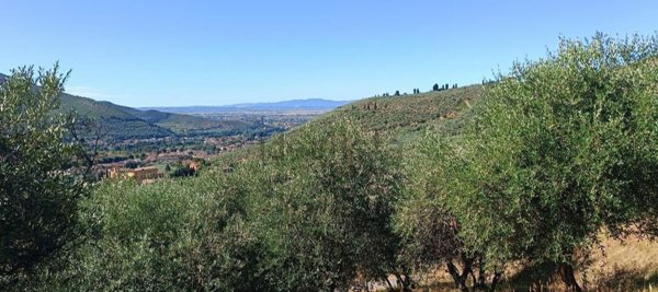 casa indipendente in vendita a Calci in zona Villa
