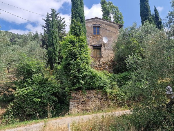 esavano in vendita a Calci