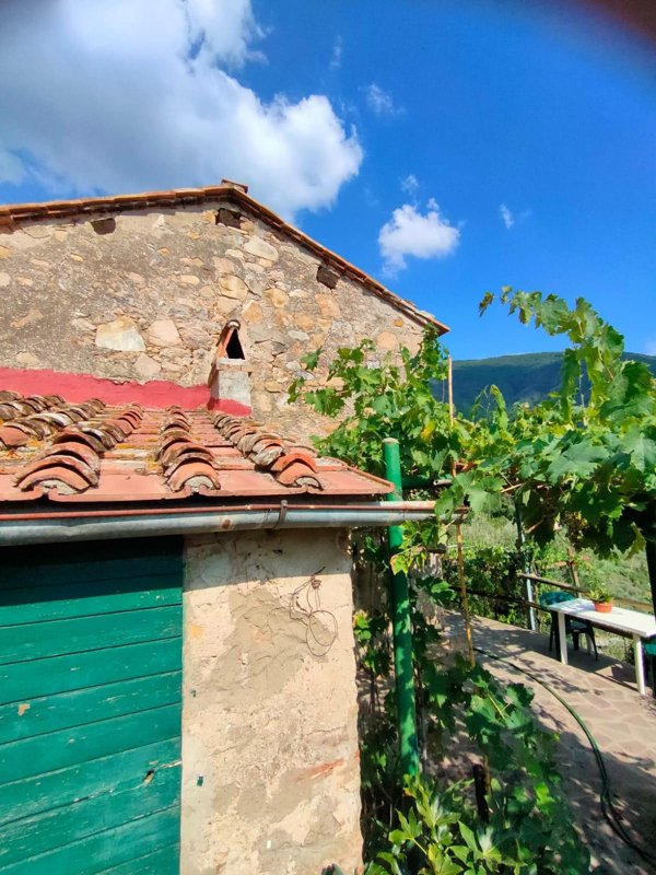 casale in vendita a Calci