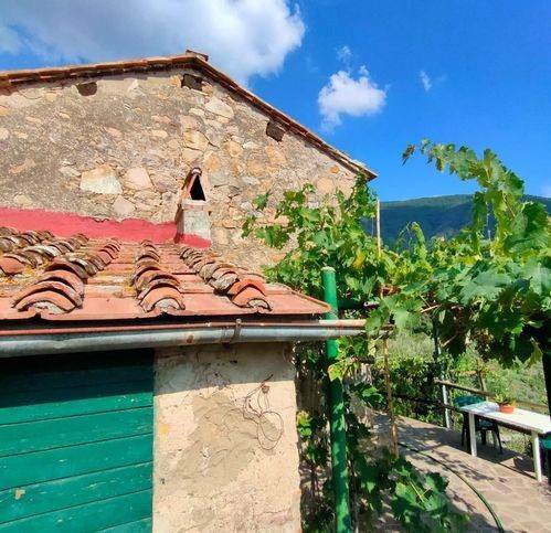 casa indipendente in vendita a Calci in zona Tre Colli