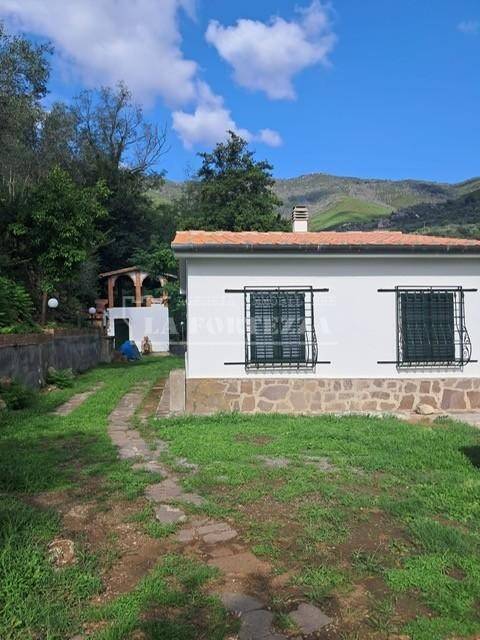 casa indipendente in vendita a Calci in zona Villa