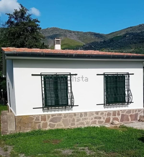 casa indipendente in vendita a Calci