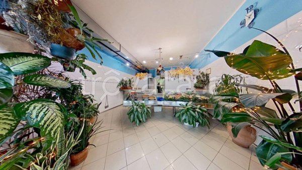 negozio in vendita a Calci