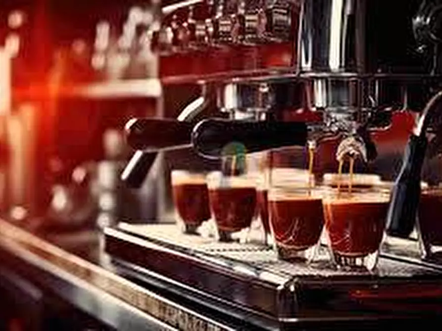 negozio in vendita a Calci