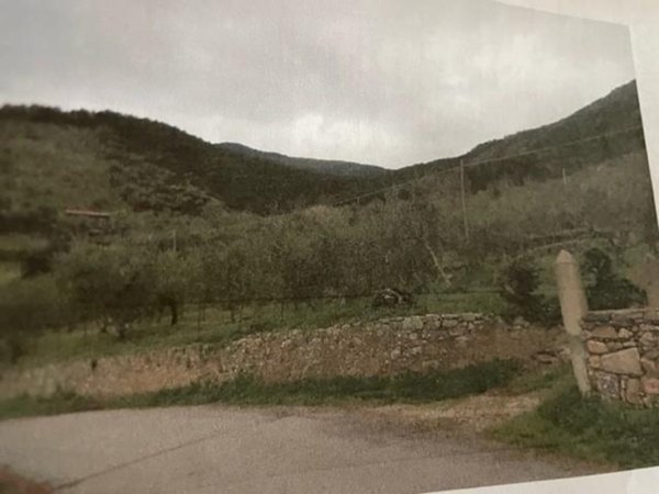 terreno agricolo in vendita a Calci in zona Tre Colli
