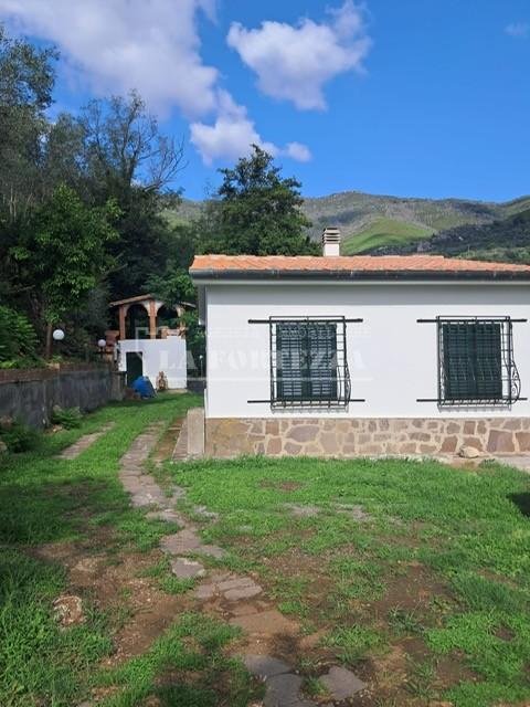 casa indipendente in vendita a Calci in zona Villa