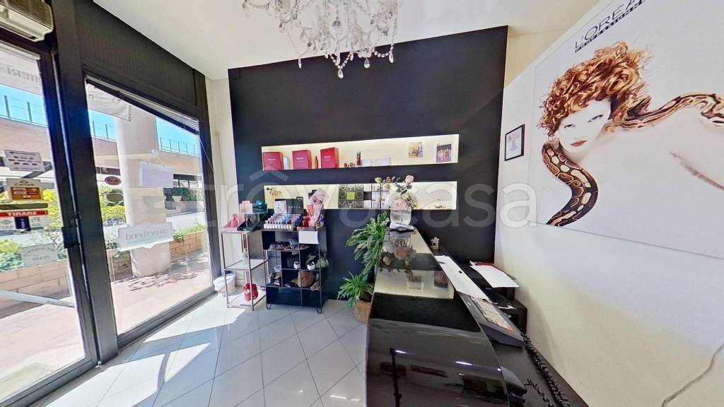 negozio in vendita a Calci