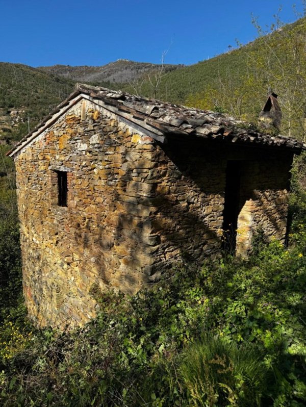 appartamento in vendita a Calci