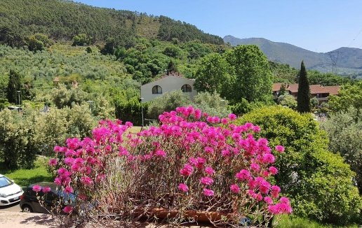 casa indipendente in vendita a Calci in zona Villa