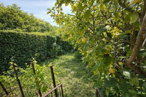 casa indipendente in vendita a Calci in zona Villa