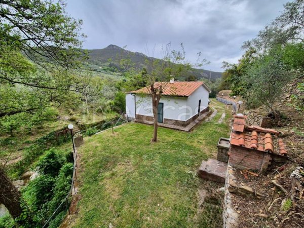 casa indipendente in vendita a Calci in zona Villa