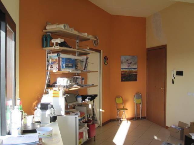 negozio in vendita a Calci