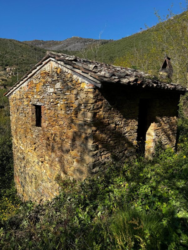 casale in vendita a Calci