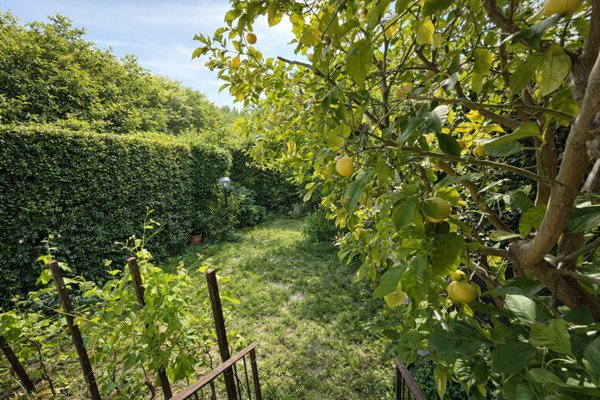 casa indipendente in vendita a Calci in zona Villa