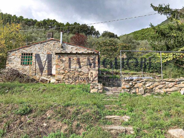 casa indipendente in vendita a Calci