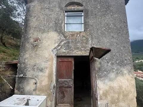 terreno agricolo in vendita a Calci in zona Tre Colli