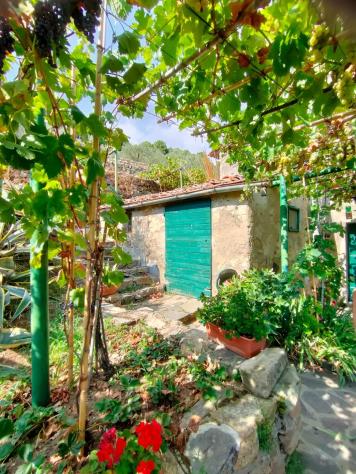 casa indipendente in vendita a Calci