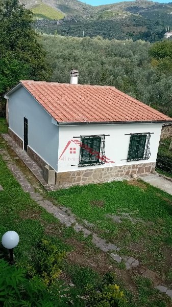casa indipendente in vendita a Calci
