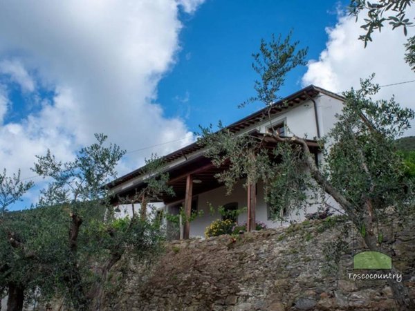 casa indipendente in vendita a Calci in zona Villa