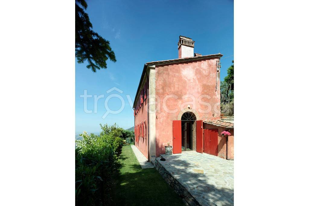 casa indipendente in vendita a Calci in zona Montemagno