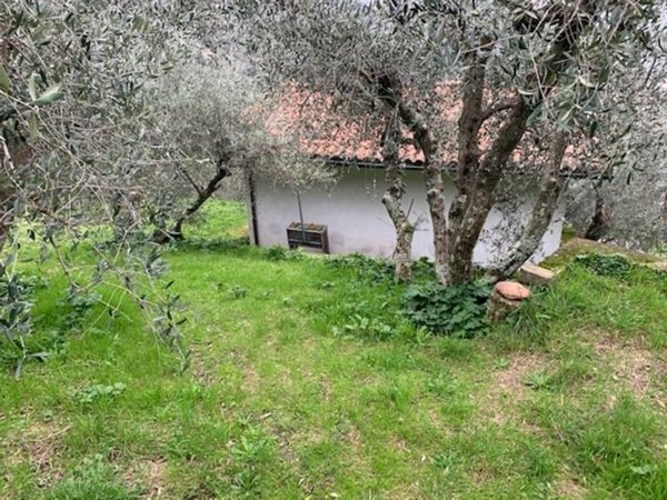 box auto in vendita a Calci in zona Villa