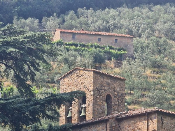 casa indipendente in vendita a Calci in zona Tre Colli