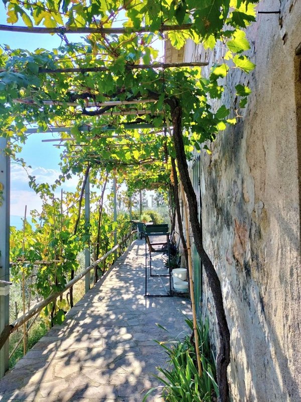 casale in vendita a Calci in zona Villa