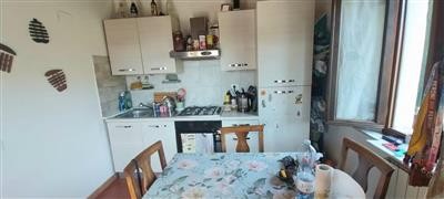immagine annuncio 0 di 15