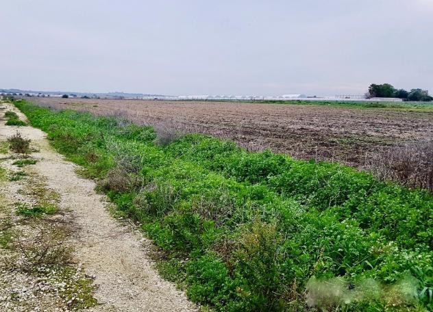 terreno agricolo in vendita a Calcinaia