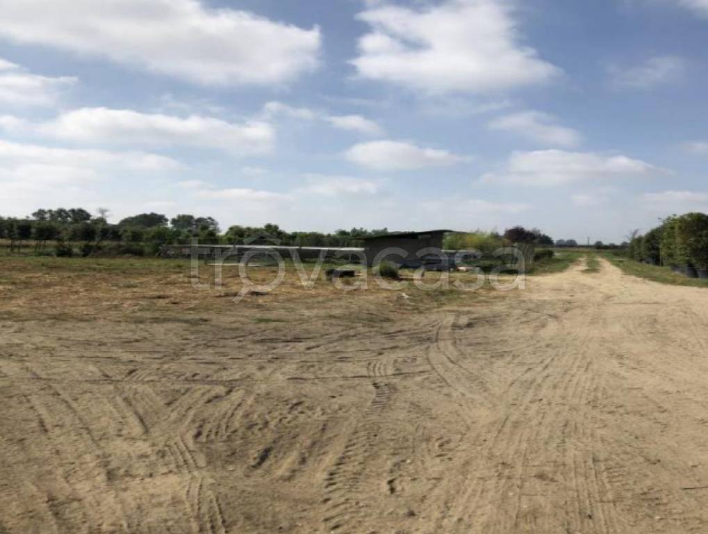 terreno agricolo in vendita a Calcinaia