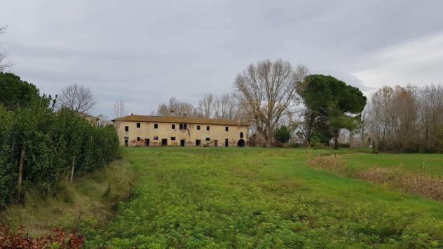 negozio in vendita a Calcinaia