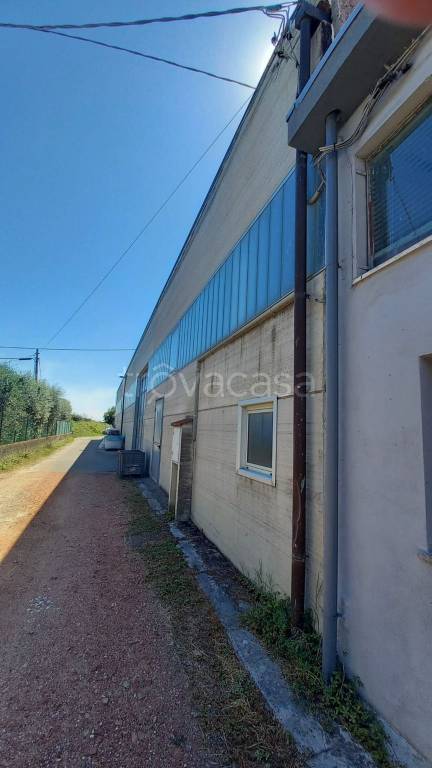 locale commerciale in vendita a Calcinaia