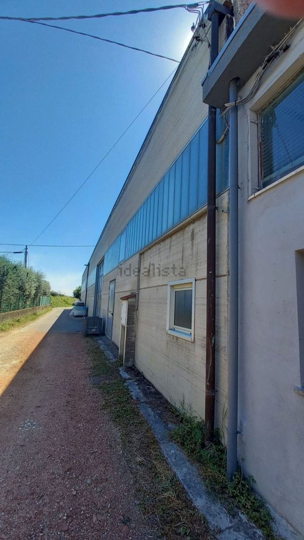 capannone in vendita a Calcinaia